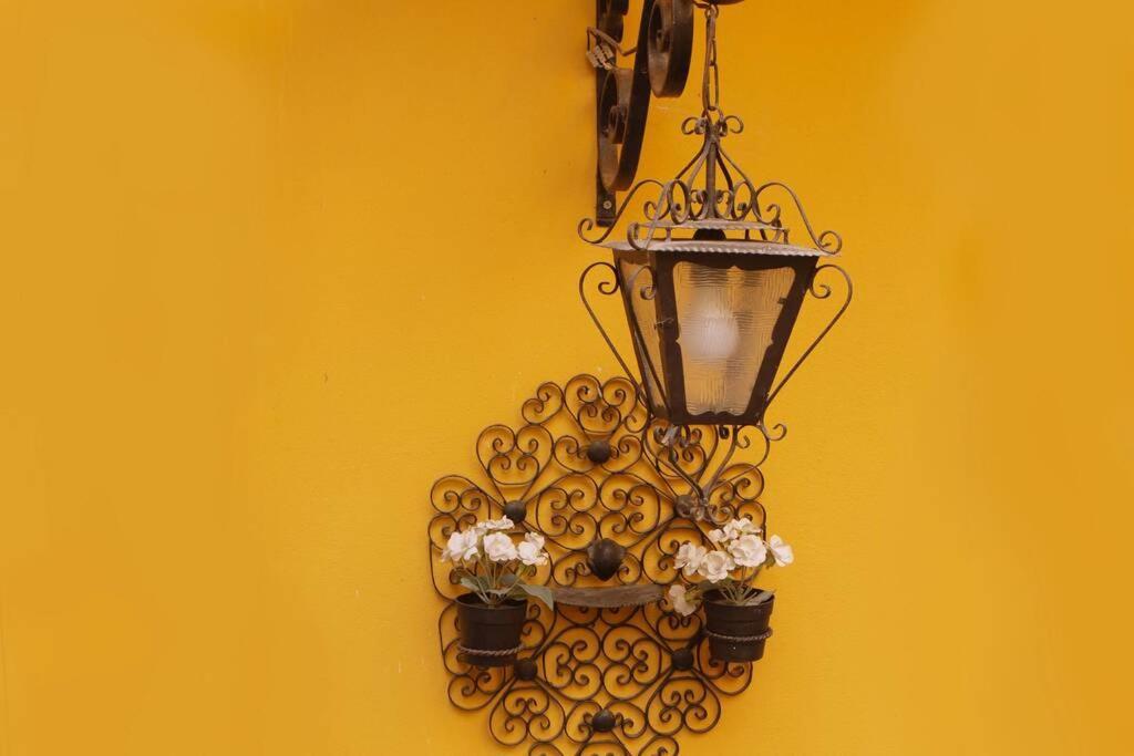 Cedofeita Village Oporto Extérieur photo